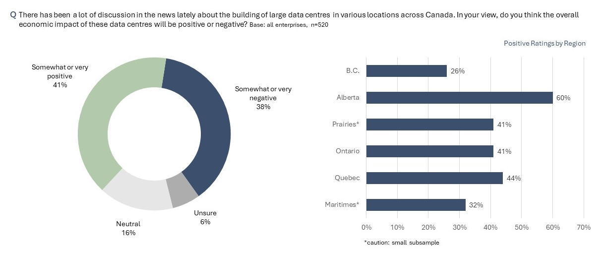 Canadian business leaders are polarized on the economic benefit of data centres.