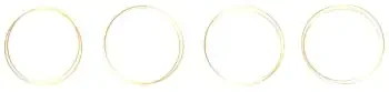 Multiple gold circles (350x83)