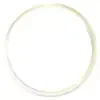 gold circle (100)